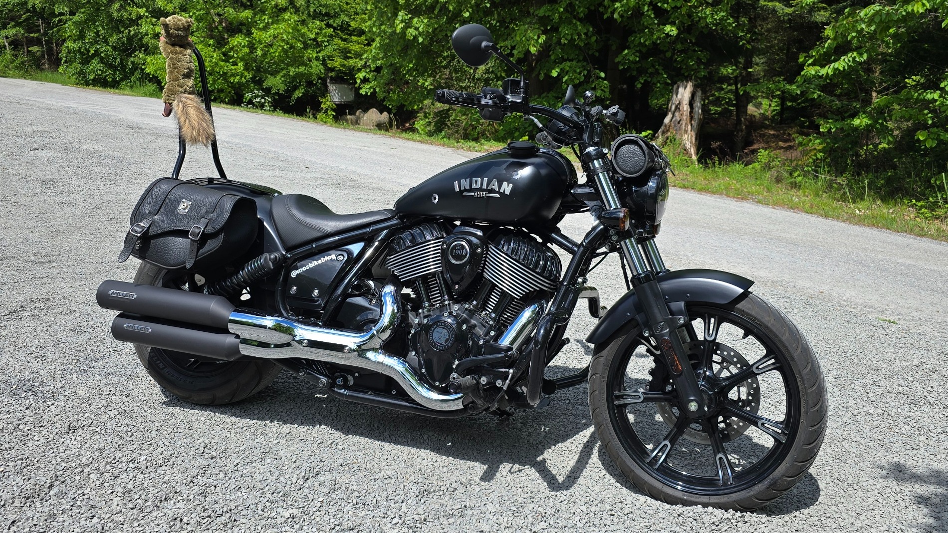 Indian Chief Dark Horse