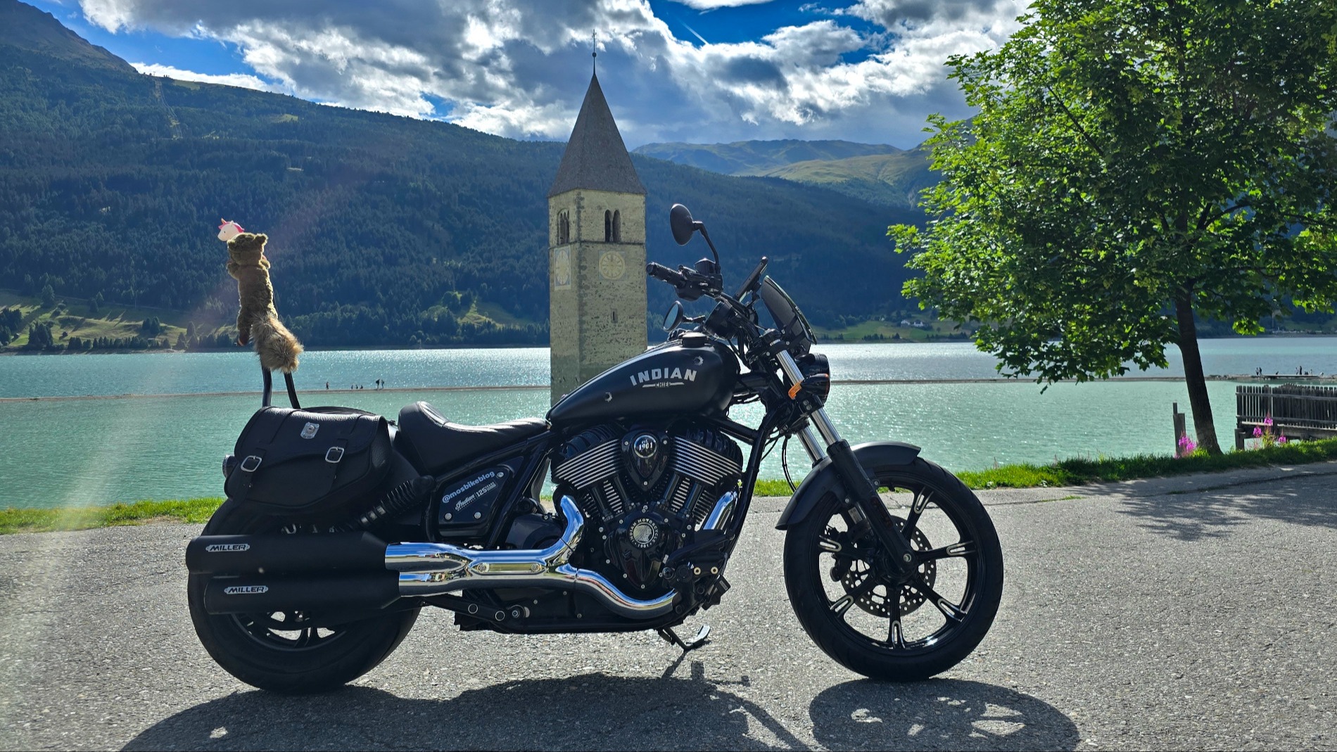 Indian Chief Dark Horse