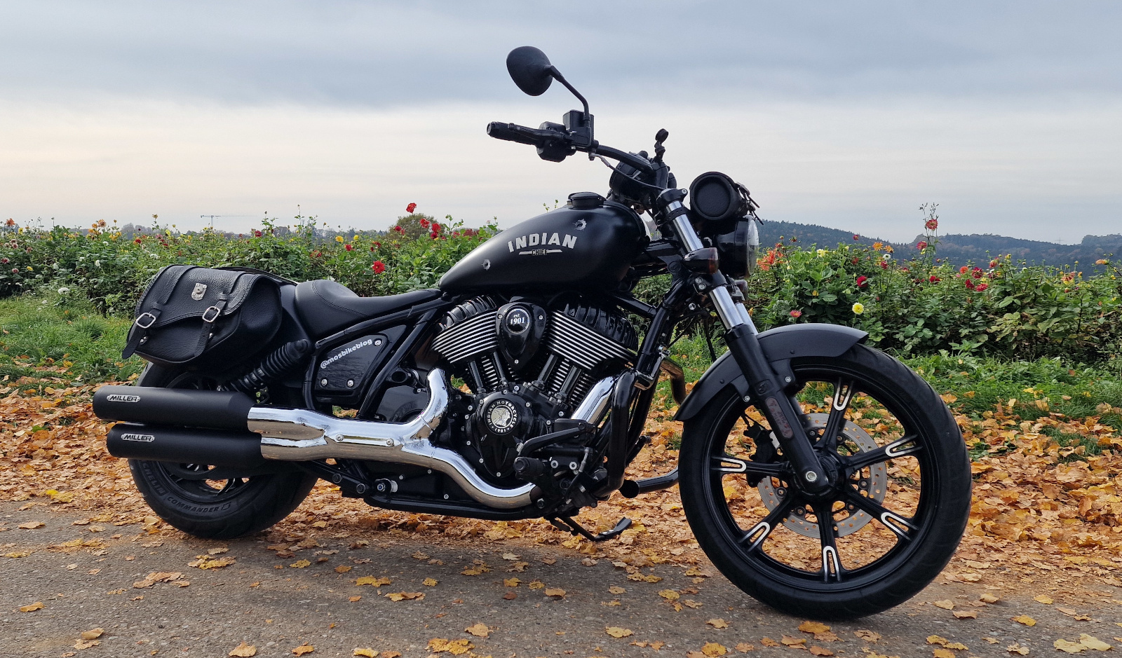 Indian Chief Dark Horse