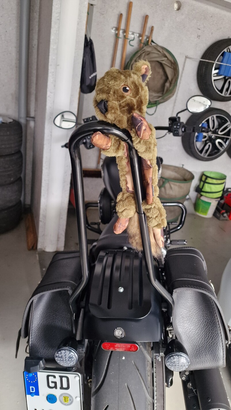 motea sissybar indian Chief Dark Horse